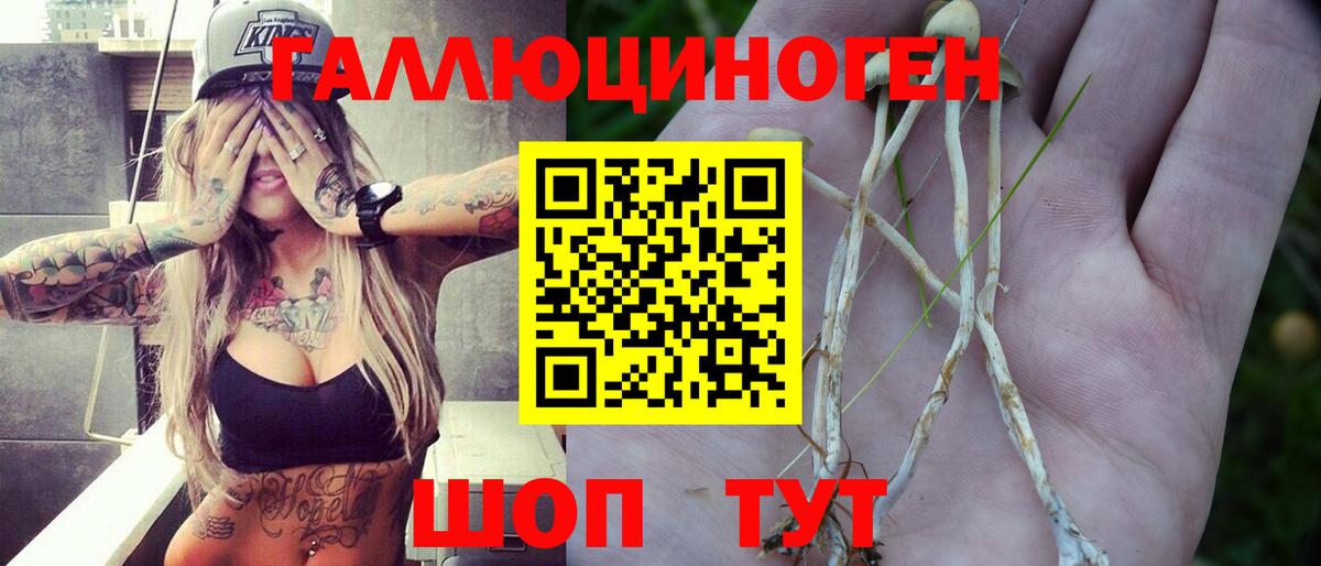 Галлюциногенные грибы Psilocybe  Вход с VPN  Галлюциногенные грибы ЛСД  Чистополь 