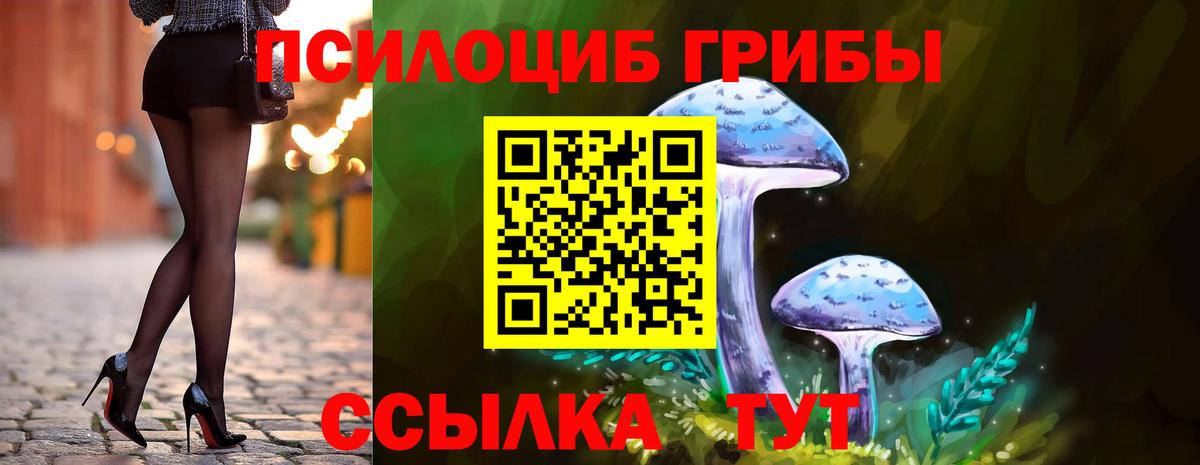Галлюциногенные грибы мицелий Чистополь